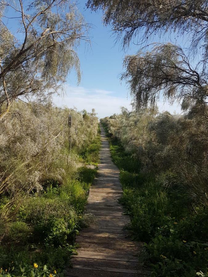 Mar Daire Isla del Moral Dış mekan fotoğraf